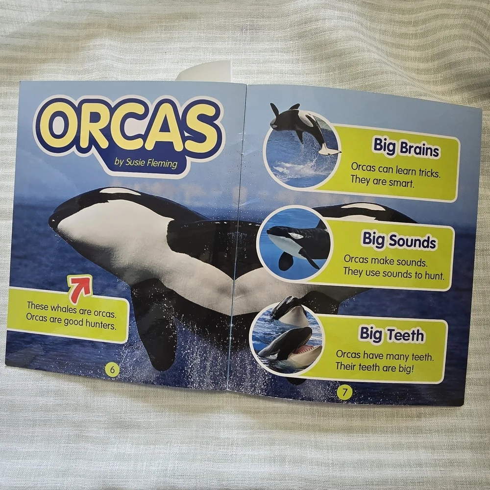 Whales Kids Activity Book - Blue Children's Educational BOOK